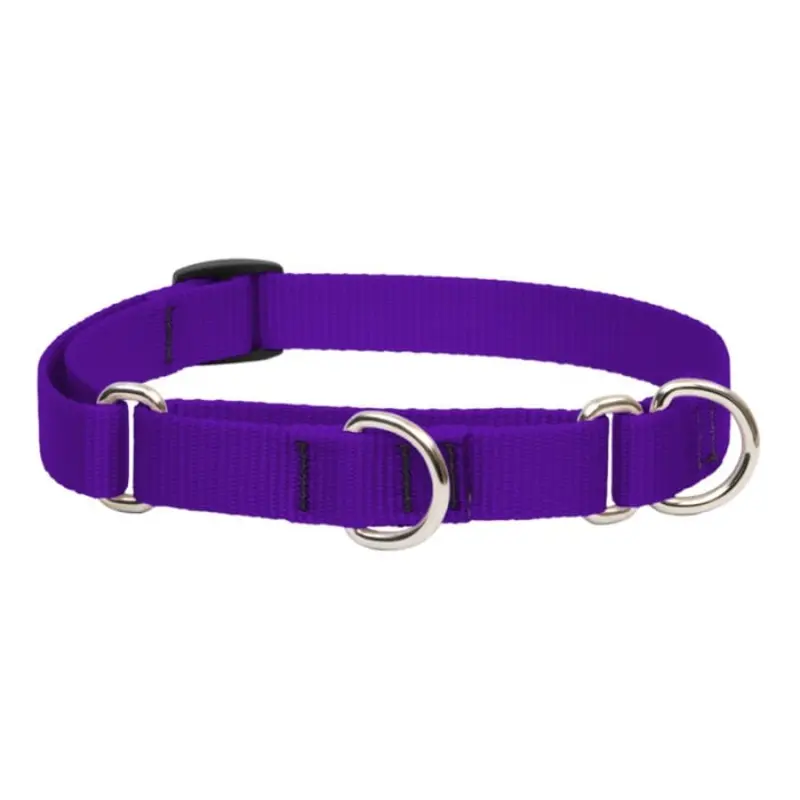 Lupine Pet Dog 3/4 In Wide 10-14 In Martingale Collar Basics Purple