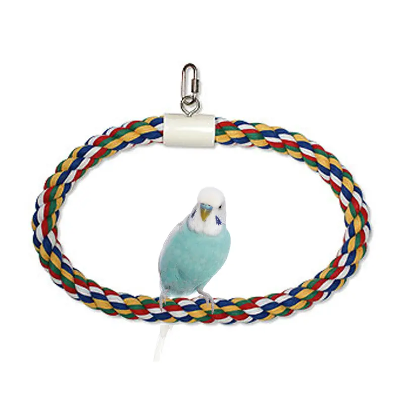 JW Pet Swing N Perch Ring Multi-Color LG
