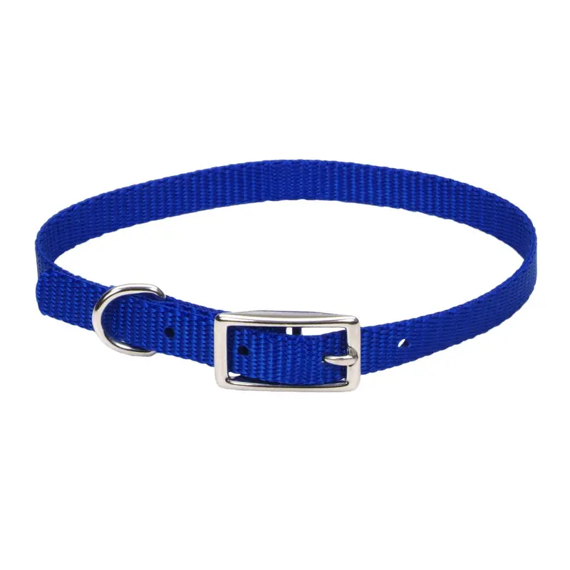 Coastal Style 301 3/8" x 12" Nylon Web Collar Blue 