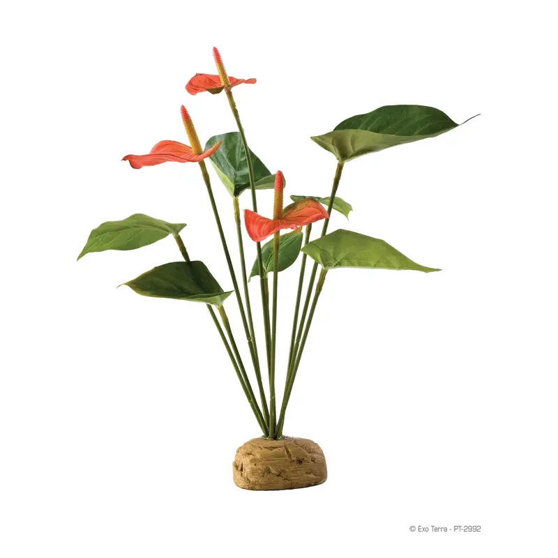 Exo Terra Plant, Anthurium Bush Pt2992