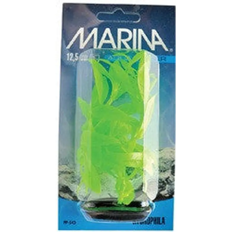 Hagen Marina Vibrascaper Hygrophila Green 5in Pp543