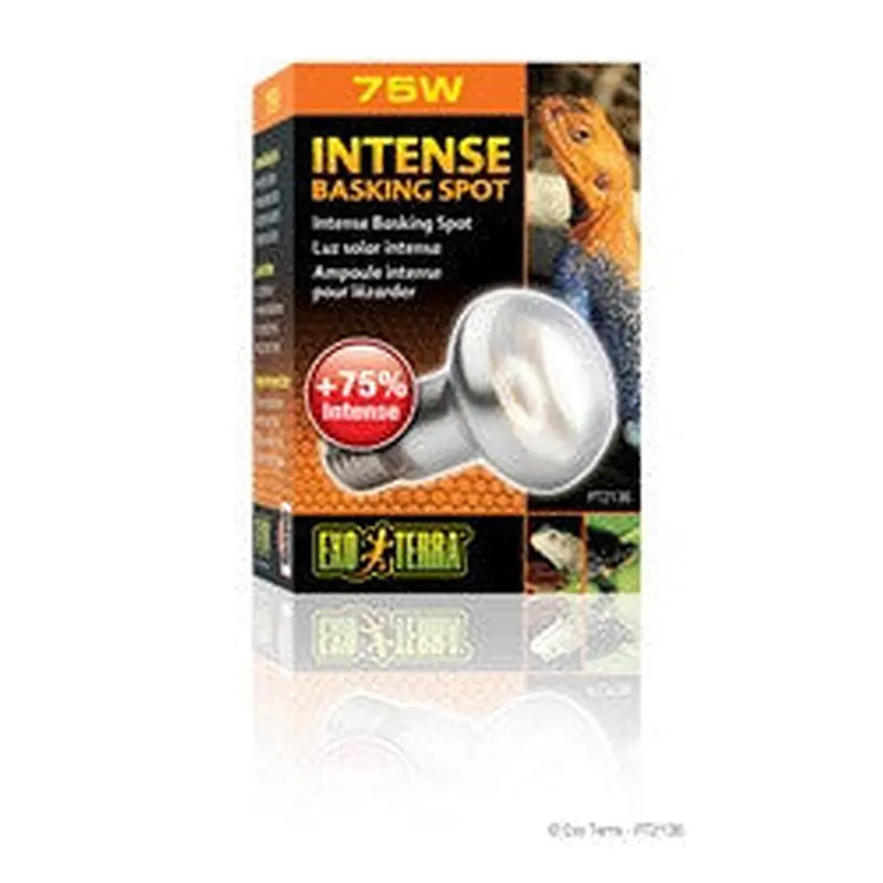 Exo Terra Intense Basking Spot Lamp 75w Pt2136{L+7] (DD)