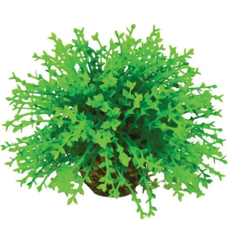 biOrb Flower Ball Topiary Small