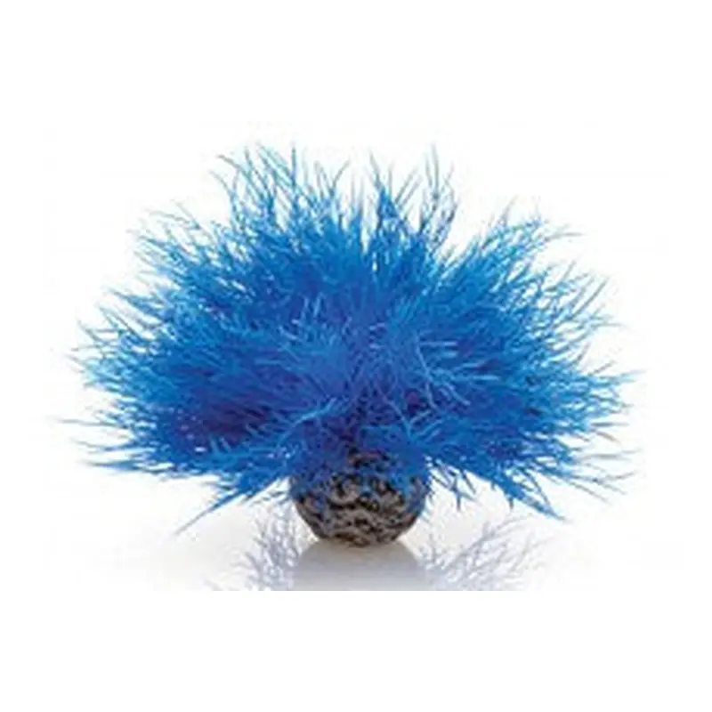 biOrb Aquatic Sea Lily Blue 
