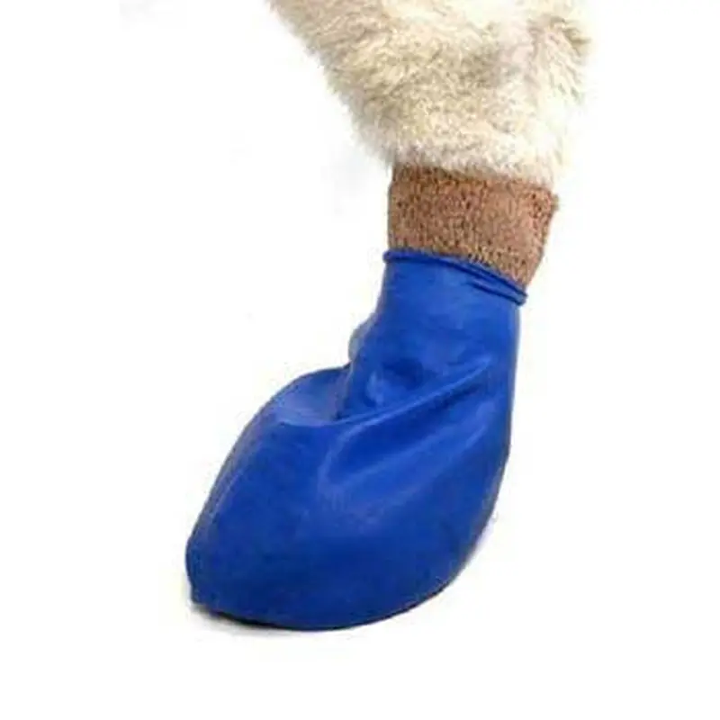 Pawz Dog Boots 12 pk. Medium 
