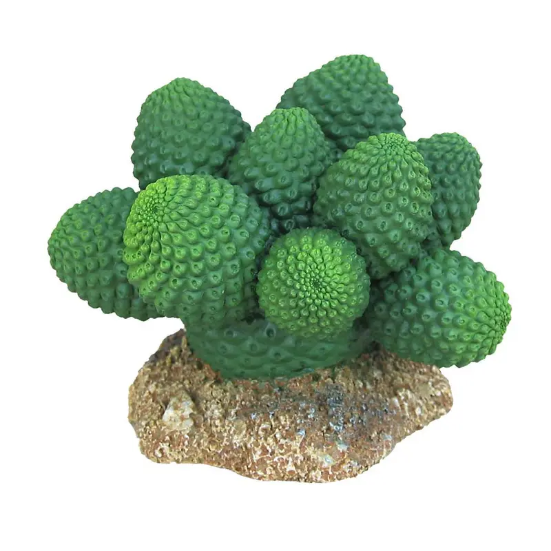 Weco Wecorama Badlands Pointed Sonoran Cactus Terrarium Ornament Brown, Green 3 in