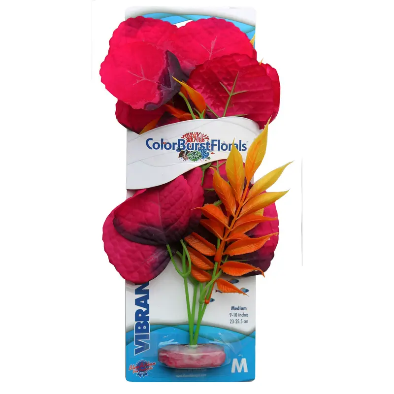 Blue Ribbon Colorburst Florals Melon Leaf Aquarium Plant Red MD