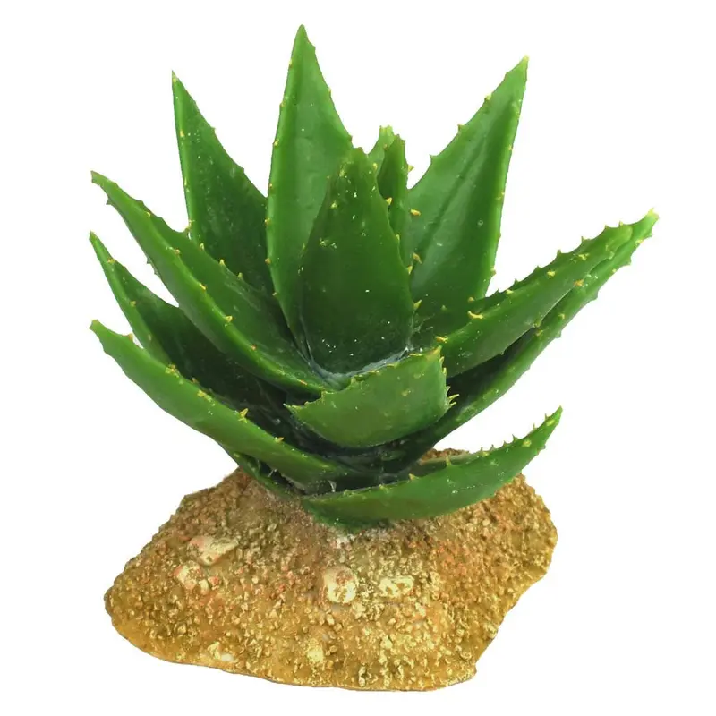 Weco Wecorama Badlands Aloe Vera Terrarium Ornament Brown, Green 5 in