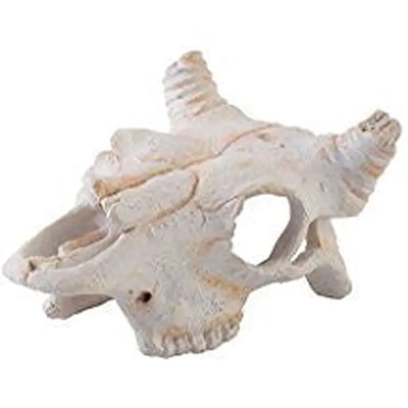 Exo Terra Buffalo Skull Small Pt2925