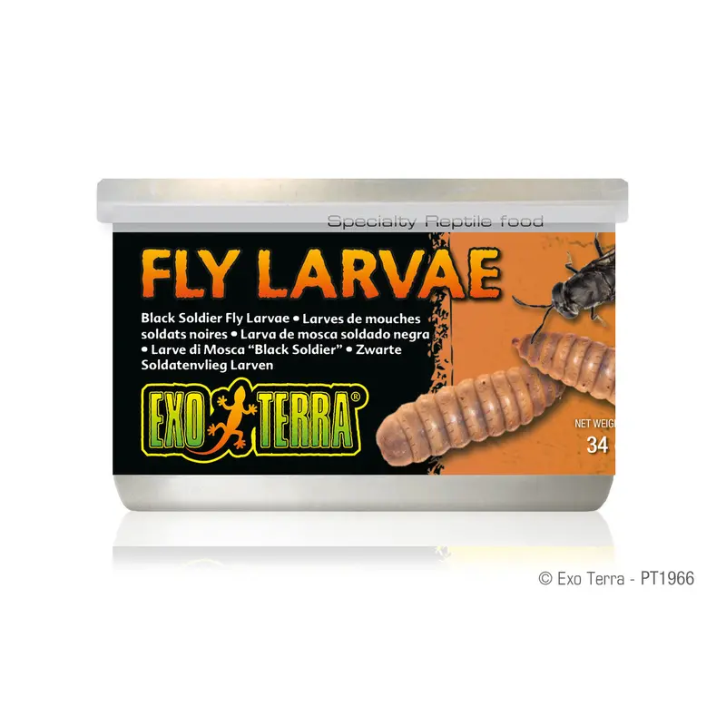 Exo Terra Canned Black Soldier Fly Larvae, 1.2 oz