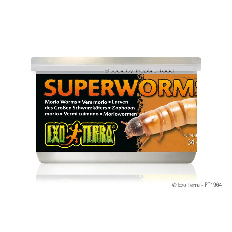 Exo Terra Canned Super Worms, 1.1 oz