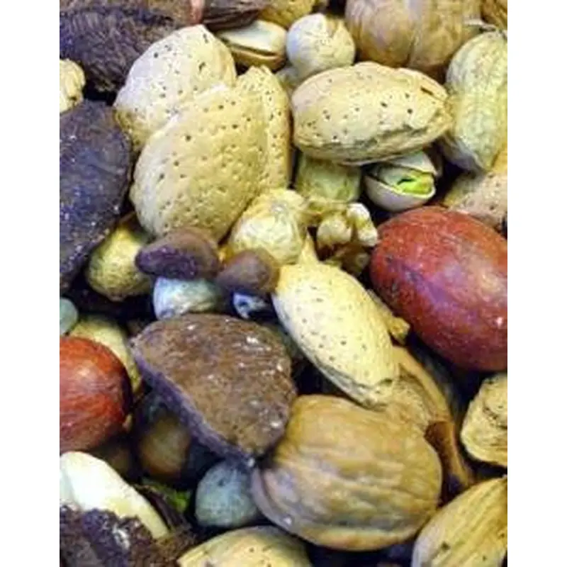 Higgins Sunburst Boca Nuts Shelled Treat 20lb 