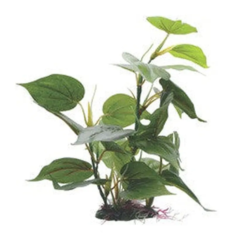 Hagen Fluval Anubias Plant 12in Pp1601