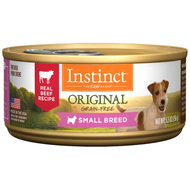 Nv Instc Bf Sm Brd Dog 12/5.5z