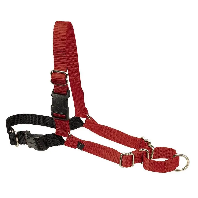 PetSafe Easy Walk Dog Harness Black/Red MD