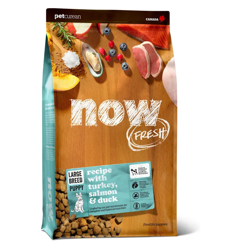 Now Fresh Grain Free Large Breed Puppy Recipe 12 lb