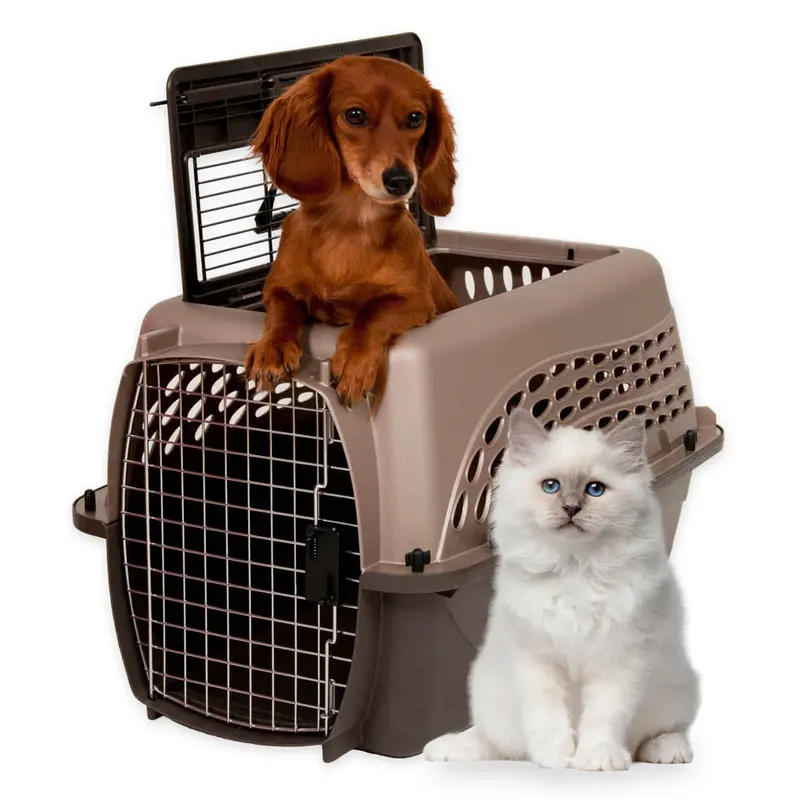 Petmate 2 Door Top Load Dog Kennel Metallic Pearl Tan, Coffee Grounds 24 in