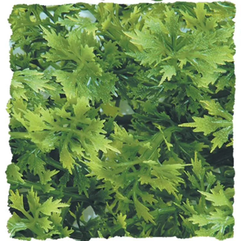 Zoo Med Natural Bush Australian Maple Plants Green 14in SM