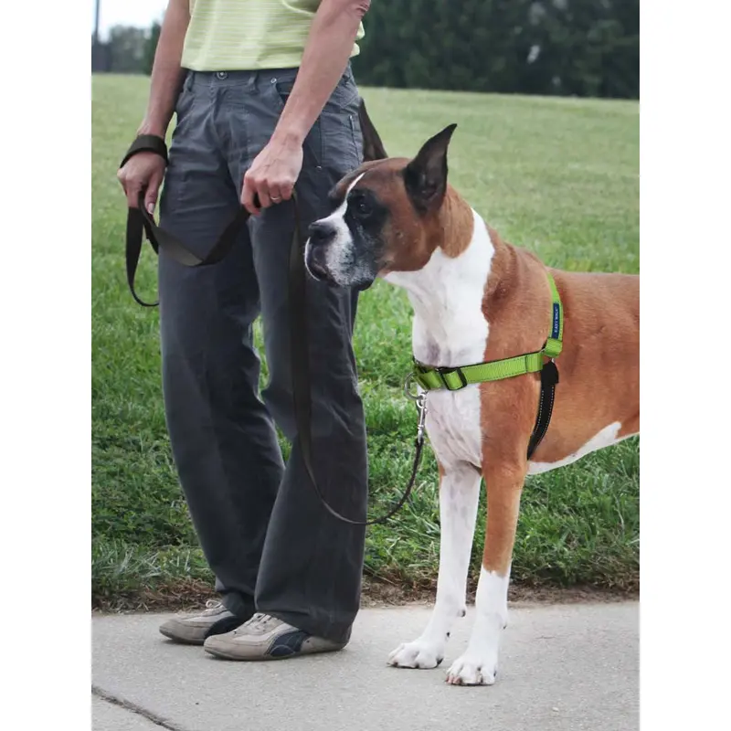 PetSafe Deluxe Easy Walk Steel Dog Harness Black/Apple LG