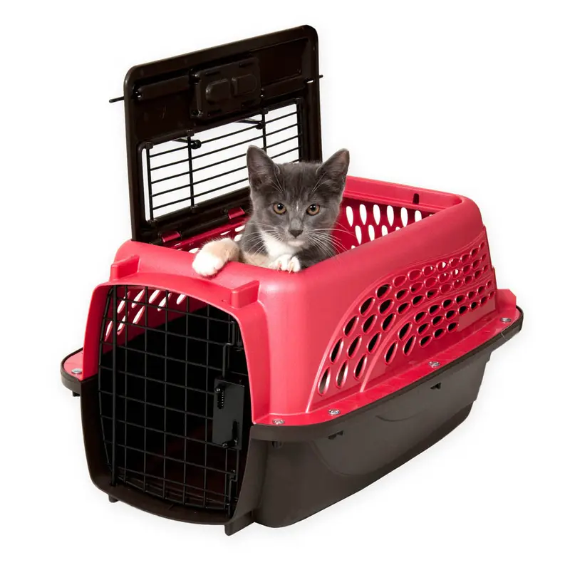 Petmate 2 Door Top Load Dog Kennel Hot Pink, Black 19 in