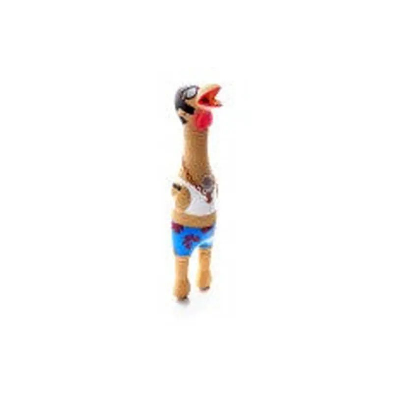 Charming Pet Toy Squawkers Earl Lg 