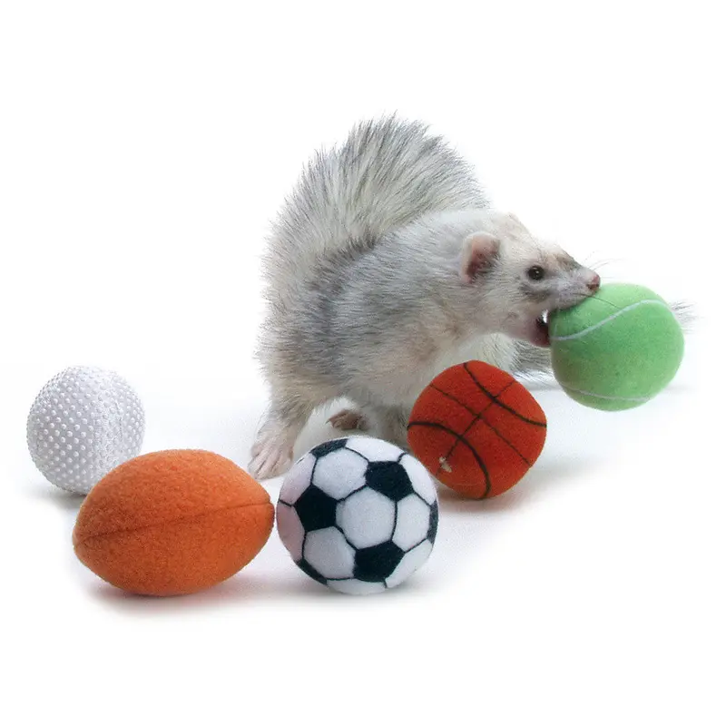 Marshall Ferret Sport Balls Assorted 2 in 2 Pack