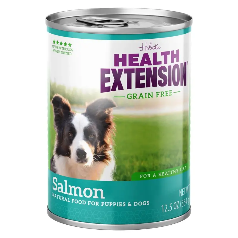 Health Extension Salmon Dog 12/13oz 