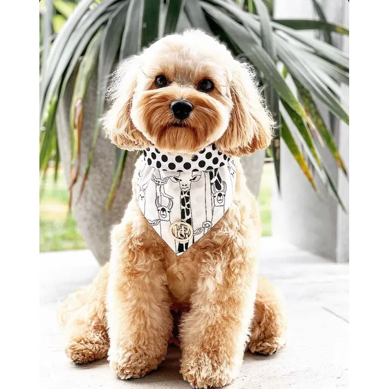 The Safari Scarf