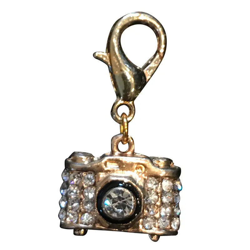 Camera Dog Collar Charm