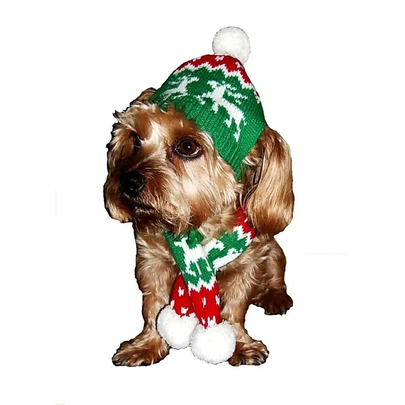 Reindeer Hat/ Scarf  (scarf has fringe)