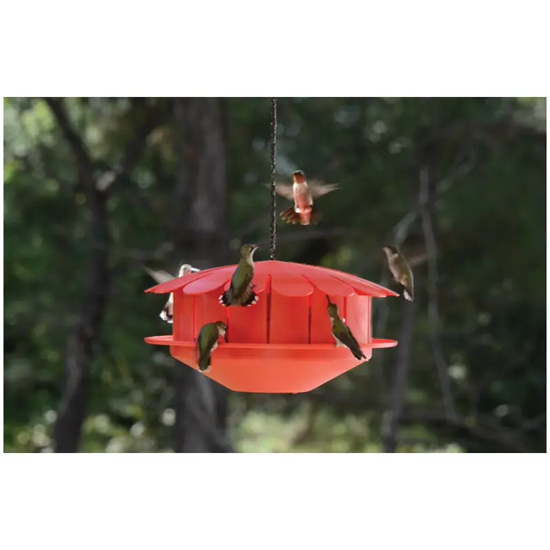 Humm-Bug Bird Feeder