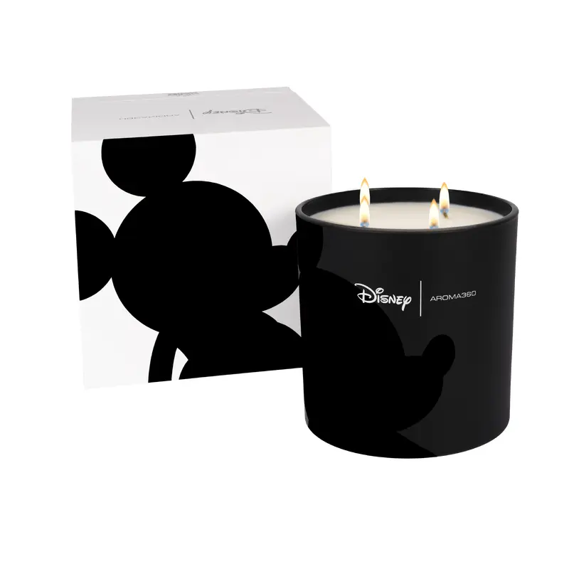 Started With A Mouse 4-Wick Candle