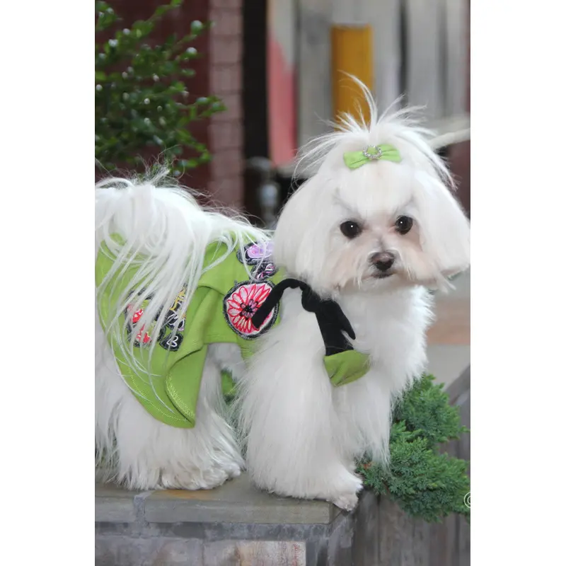 The Chloe Hand Beaded Dog Dress