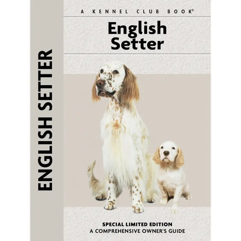 English Setter