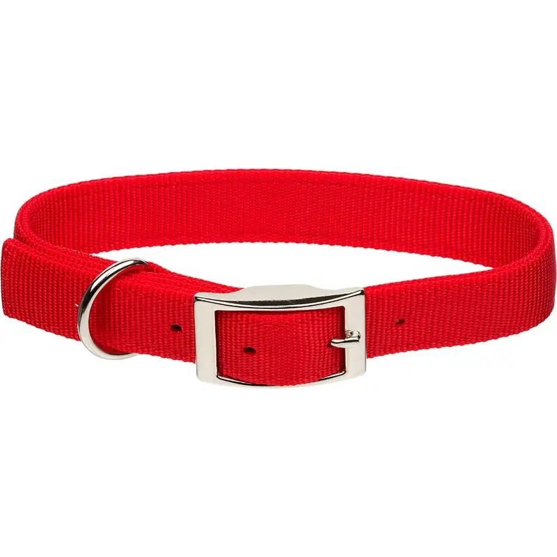 Coastal 1" Double-Ply Dog Collar
