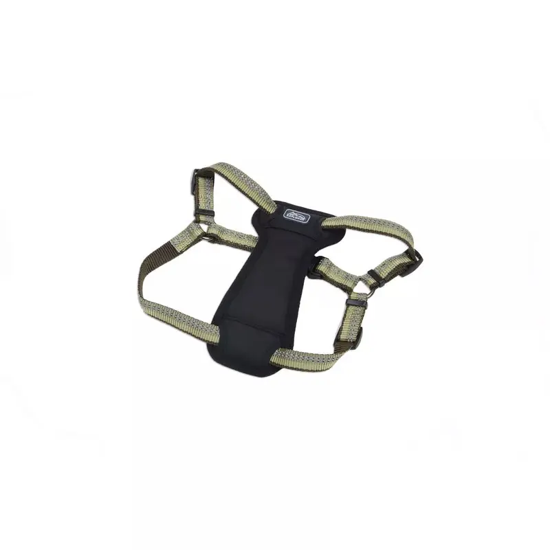 Coastal K9 Explorer Reflective Adjustable 1in Wide 20-30in Padded Dog Harness Fern