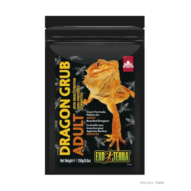 Exo Terra Dragon Grub Adult  8.8 oz