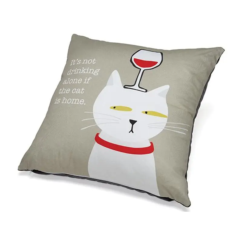 Pillow: Its Not Drinking if the Cat is Home