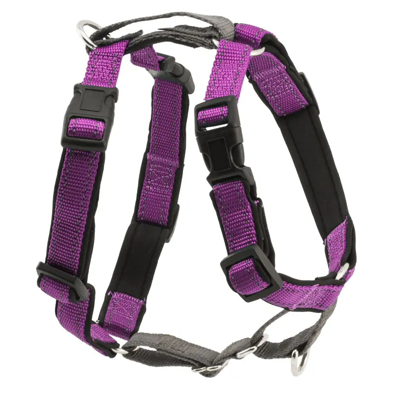 PetSafe 3 in 1 Harness, Medium, Plum, Red / Grey