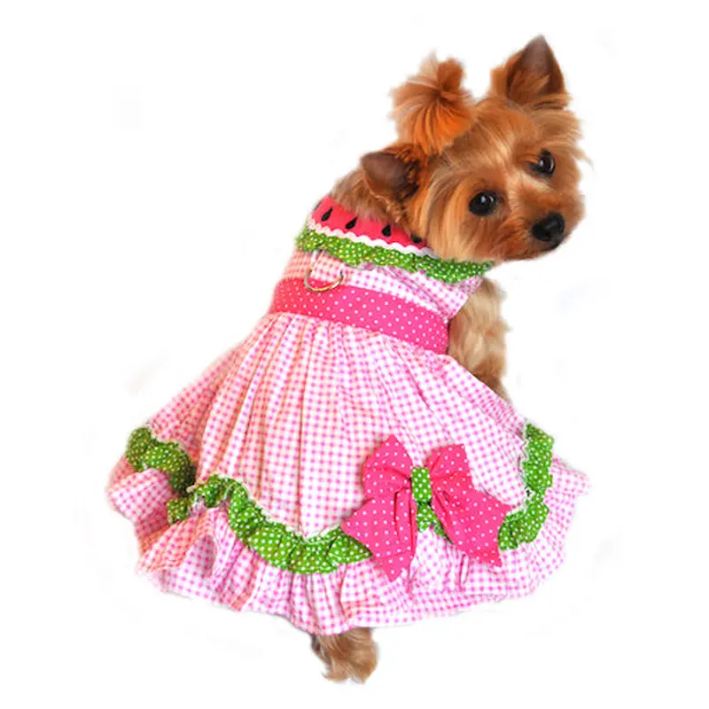 Watermelon Harness Dress