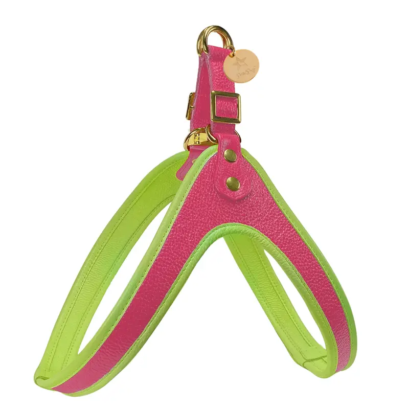 STEP-IN HARNESS - CANDY SWIRL