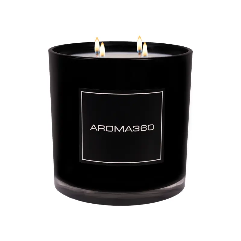 Midnight in Paris 4-Wick Candle