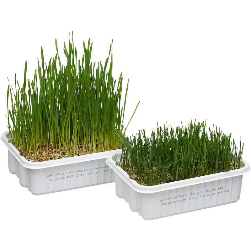 Stewart Pro Cat Grass Plus  5.25oz