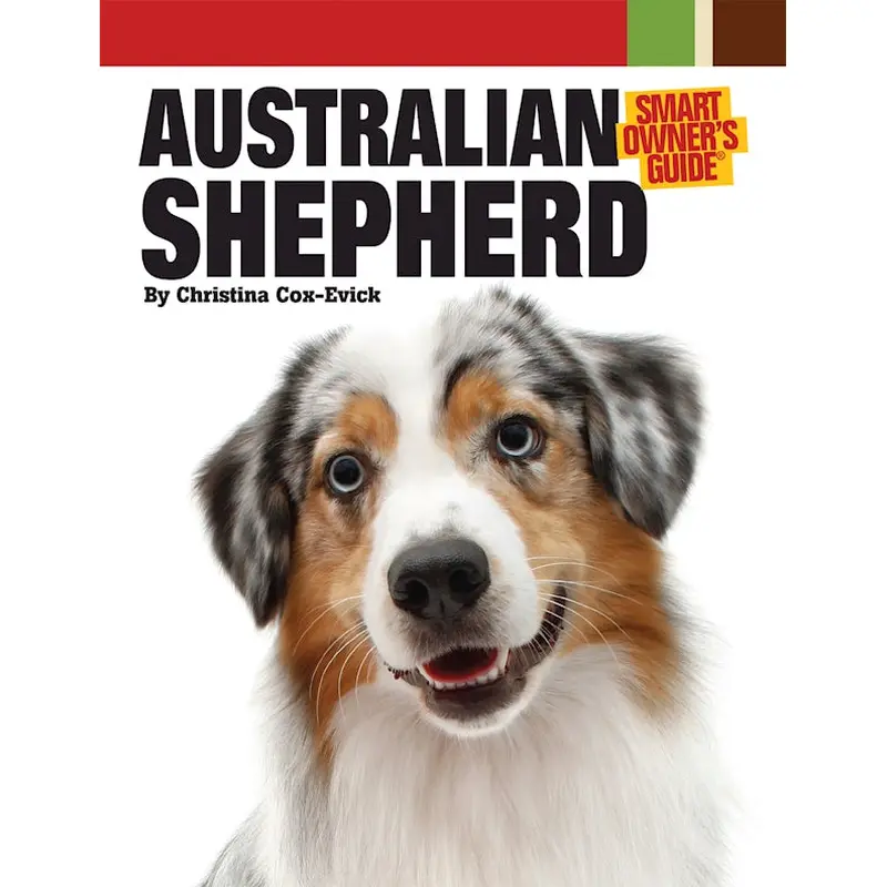Australian Shepherd Dog