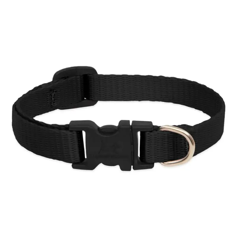 Lupine Pet Dog 2/4 In Wide 9-14 In Adjustable Collar Basic Black