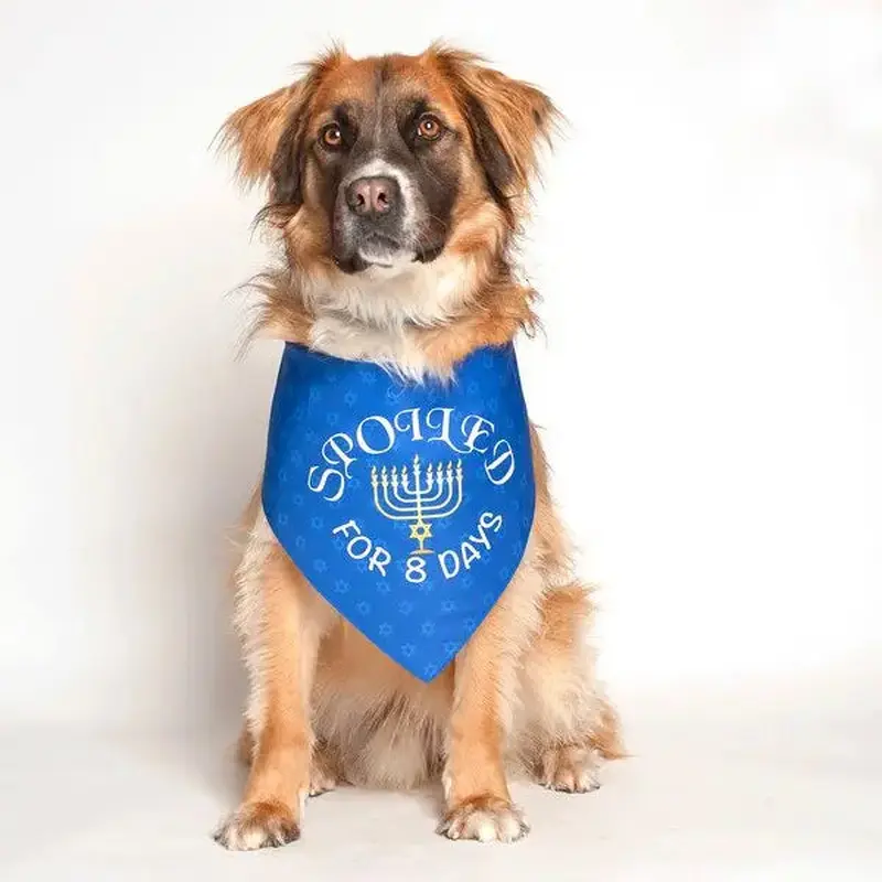Hanukkah Holiday Dog Bandana by Dog Fashion Living