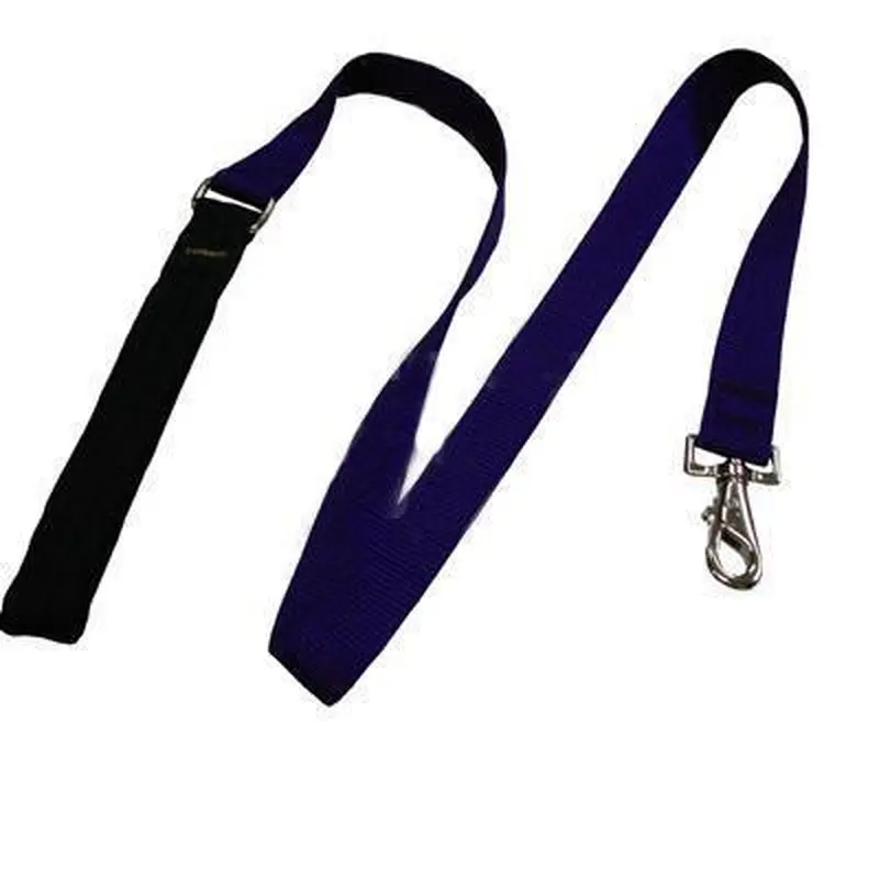 Lupine 1in Purple 6ft Leash