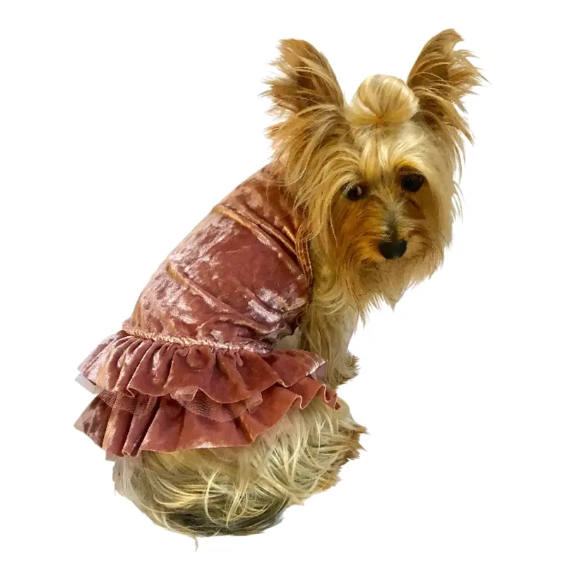 Crushing on YOU Metallic Velvet Dog Dress, Rosewater