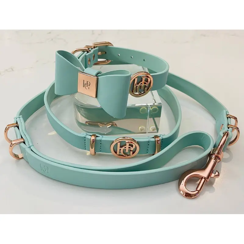 Leather Bow Collar/Lead - Aquamarine