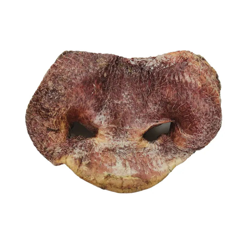Vital Essentials Raw Bar Treat Bulk Bulk FD Pig Snout